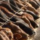 Best Farm Feed: Nutrition &amp; Savings Tips! | The Conscious Farmer | Sustainable Agriculture for a Healthier Planet