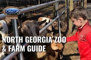 Visit North GA Zoo and Farm: Animals & Farming Fun! | The Conscious Farmer | Sustainable Agriculture for a Healthier Planet