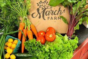 Early March Farming: Tips & Techniques | The Conscious Farmer | Sustainable Agriculture for a Healthier Planet