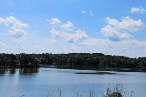 Efficient Farmer Lake: Irrigation for Farming Success | The Conscious Farmer | Sustainable Agriculture for a Healthier Planet