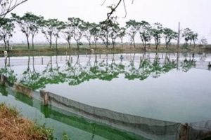 Pan Fuzhou Farm: Sustainable Farming for a Brighter Future | The Conscious Farmer | Sustainable Agriculture for a Healthier Planet