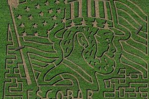 Beyond the Escobar Farm: Modern Illicit Farming | The Conscious Farmer | Sustainable Agriculture for a Healthier Planet