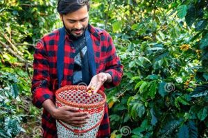Tiny Farms, Rich Coffee: The Menudo Coffee Farmer's Story | The Conscious Farmer | Sustainable Agriculture for a Healthier Planet