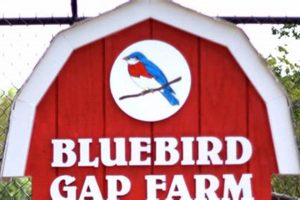 Your Hampton, VA Blue Gap Farm: Fresh & Local! | The Conscious Farmer | Sustainable Agriculture for a Healthier Planet