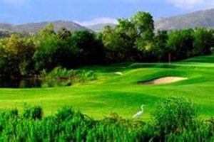 Fun on the Farm: Strawberry Farm Golf & More! | The Conscious Farmer | Sustainable Agriculture for a Healthier Planet