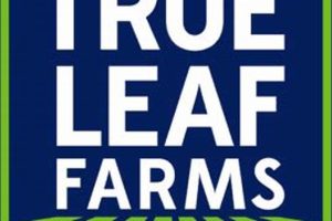 True Leaf Farms: Fresh, Sustainable Greens | The Conscious Farmer | Sustainable Agriculture for a Healthier Planet