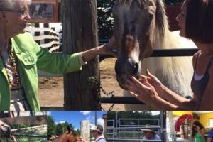 Ethical Farming: The Live & Let Live Farm Approach Guide | The Conscious Farmer | Sustainable Agriculture for a Healthier Planet