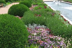 KC Farm & Garden: Craigslist's Best [Missouri Deals] | The Conscious Farmer | Sustainable Agriculture for a Healthier Planet