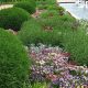 KC Farm & Garden: Craigslist's Best [Missouri Deals] | The Conscious Farmer | Sustainable Agriculture for a Healthier Planet