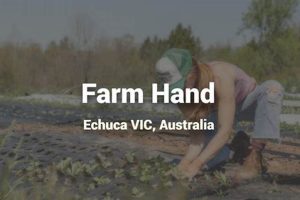 Your Farming: Farm Hand Employment Guide + Jobs | The Conscious Farmer | Sustainable Agriculture for a Healthier Planet
