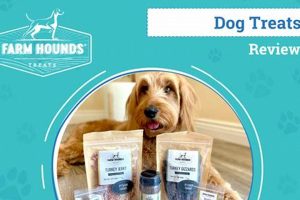Essential Farm Hounds: Breed, Training & Care Tips | The Conscious Farmer | Sustainable Agriculture for a Healthier Planet