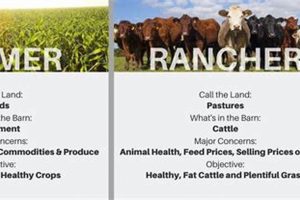 Farm vs. Ranch: What's the Difference? [Explained] | The Conscious Farmer | Sustainable Agriculture for a Healthier Planet