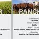 Farm vs. Ranch: What's the Difference? [Explained] | The Conscious Farmer | Sustainable Agriculture for a Healthier Planet