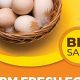 Local Farm Fresh Eggs Price: What to Expect (Year) | The Conscious Farmer | Sustainable Agriculture for a Healthier Planet