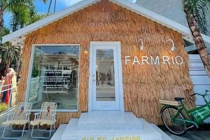 Explore: Brands Like Farm Rio for Vibrant Style | The Conscious Farmer | Sustainable Agriculture for a Healthier Planet