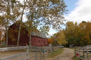 Your Little Brook Farm: Sustainable Farming Guide | The Conscious Farmer | Sustainable Agriculture for a Healthier Planet