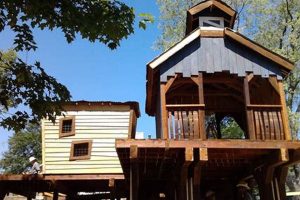 Explore: Blackberry Farm Pioneer Village Aurora Photos Now! | The Conscious Farmer | Sustainable Agriculture for a Healthier Planet