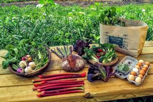 Galactic Star Farm: Cosmic Farming Tips | The Conscious Farmer | Sustainable Agriculture for a Healthier Planet
