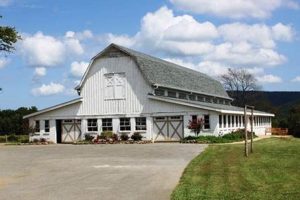 Escape to | Mountain Cove Farms Resort | Serenity | The Conscious Farmer | Sustainable Agriculture for a Healthier Planet