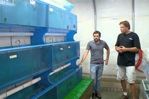 All About: Segrest Farms Fish &amp; More | The Conscious Farmer | Sustainable Agriculture for a Healthier Planet