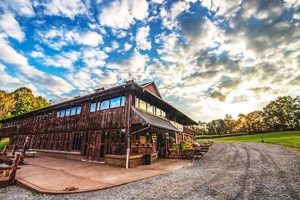 Local Farming: Cheesemans Farm's Fresh Harvest | The Conscious Farmer | Sustainable Agriculture for a Healthier Planet