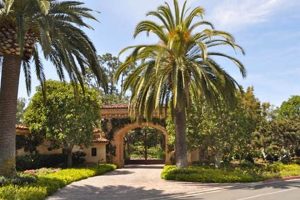 Drive La Jolla Farms Road: Your Farming Guide | The Conscious Farmer | Sustainable Agriculture for a Healthier Planet