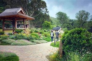 Zen Farming: Green Gulch Farm's Mindful Harvest | The Conscious Farmer | Sustainable Agriculture for a Healthier Planet
