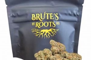 Guide to Farmer's Daughter Strain: Grow, Effects & More | The Conscious Farmer | Sustainable Agriculture for a Healthier Planet