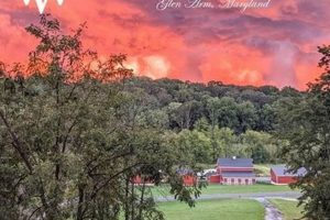 Discover Willow Valley Farms: Lancaster's Bounty | The Conscious Farmer | Sustainable Agriculture for a Healthier Planet