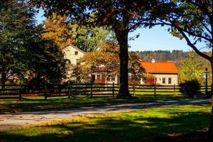 Discover Yorktowne Farms: Fresh &amp; Local Farming | The Conscious Farmer | Sustainable Agriculture for a Healthier Planet