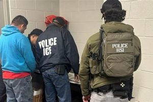 Flack Farms Immigration Arrests: Farming Impact & Aftermath | The Conscious Farmer | Sustainable Agriculture for a Healthier Planet
