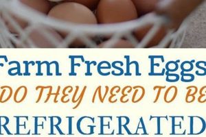 Farming FAQs: Do Farm Fresh Eggs Need to Be Refrigerated? | The Conscious Farmer | Sustainable Agriculture for a Healthier Planet