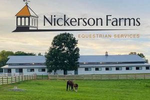 A Guide to Nickerson Farms: Farming Excellence | The Conscious Farmer | Sustainable Agriculture for a Healthier Planet