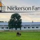A Guide to Nickerson Farms: Farming Excellence | The Conscious Farmer | Sustainable Agriculture for a Healthier Planet