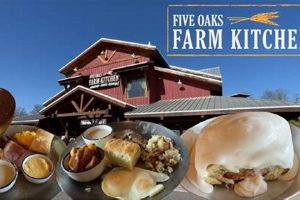 Your Guide to Five Oaks Farm | Farming Tips & More | The Conscious Farmer | Sustainable Agriculture for a Healthier Planet