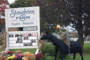 Visit Stoughton Farm: Local Fun &amp; Fresh Produce | The Conscious Farmer | Sustainable Agriculture for a Healthier Planet