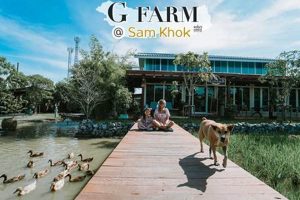 Modern G Farms: Innovations in Agriculture | The Conscious Farmer | Sustainable Agriculture for a Healthier Planet