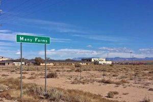 Guide to Many Farms in AZ: Your Resource! | The Conscious Farmer | Sustainable Agriculture for a Healthier Planet