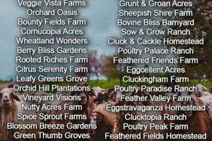 Best Farm Name Generator Tool: Ideas & More | The Conscious Farmer | Sustainable Agriculture for a Healthier Planet