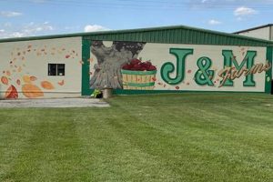Discover G and M Farms: Local Farming Freshness! | The Conscious Farmer | Sustainable Agriculture for a Healthier Planet