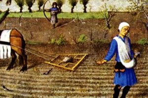 Life of a Feudal Farmer: NYT on Medieval Agriculture | The Conscious Farmer | Sustainable Agriculture for a Healthier Planet