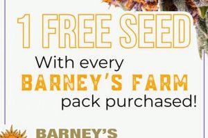 Buy Barneys Farm Seeds: Premium Strains Await! | The Conscious Farmer | Sustainable Agriculture for a Healthier Planet