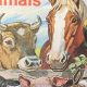Guide to Farm Animal Book: Breeds & Care | The Conscious Farmer | Sustainable Agriculture for a Healthier Planet