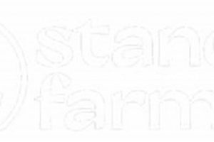 Understanding Standard Farms: Efficiency in Agriculture | The Conscious Farmer | Sustainable Agriculture for a Healthier Planet