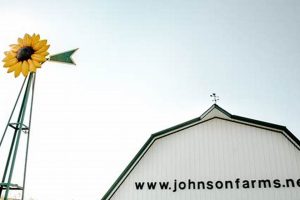 Discover Johnson Farms MO: Your Local Farming Guide | The Conscious Farmer | Sustainable Agriculture for a Healthier Planet