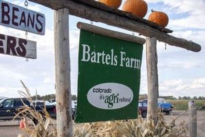 Visit The Bartels Farm Today: Fresh, Local & Sustainable! | The Conscious Farmer | Sustainable Agriculture for a Healthier Planet