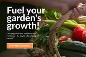 Best Urban Farmer Seeds: Grow Food Anywhere! | The Conscious Farmer | Sustainable Agriculture for a Healthier Planet