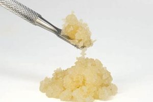 Growing Sugar Hemp Farms: A Farmer's Guide | The Conscious Farmer | Sustainable Agriculture for a Healthier Planet