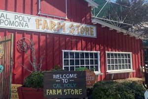 Visit Kellogg Ranch Farm Store: Fresh &amp; Local! | The Conscious Farmer | Sustainable Agriculture for a Healthier Planet