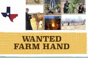 Local Farm Hand Wanted: [Farm Name] Needs You! | The Conscious Farmer | Sustainable Agriculture for a Healthier Planet